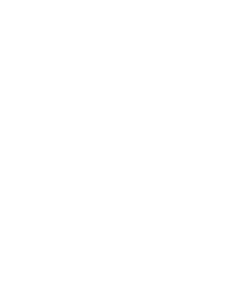 LZ Logo